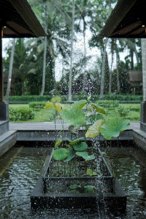Villa Puri Tupai Ubud  Exterior photo